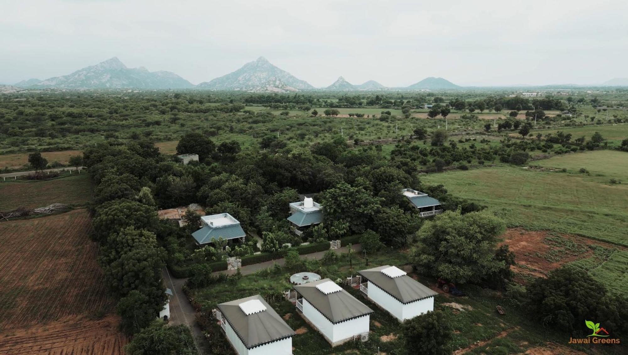 Jawai Greens Jawai Bandh Exterior foto